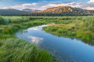 Kian Berreman - Meadow Stream