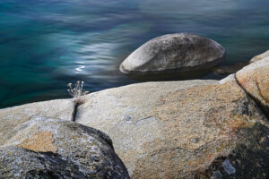 Kian Berreman - Spirit (In-Camera Double Exposure)