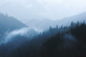 John Jack Devlin - Ridgelines