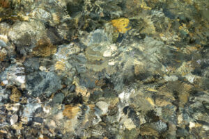 John Jack Devlin - Yuba Patterns