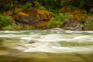 John Jack Devlin - Yuba River Green