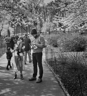 Enjoying Cherry Blossoms, Newark 2023