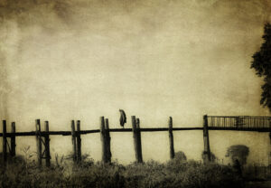 Elderly Monk on U Bein Bridge, Myanmar