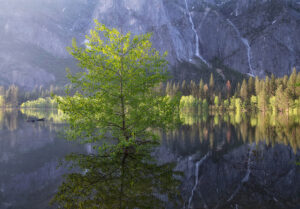 Flood, Leidig Meadow, Yosemite Valley
