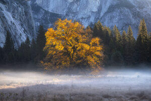 In the Spotlight, Yosemite Valley