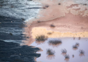 Life in the Desert #3, Death Valley