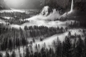 Misty Valley #2, Yosemite