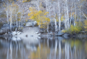 Morning Zen #3, Eastern Sierra