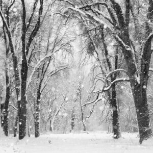 Whispers of Winter #31, Yosemite Valley