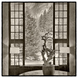 Ahwahnee View