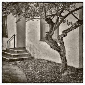 Home for the Weekend