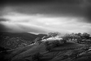 In the North Coast Range