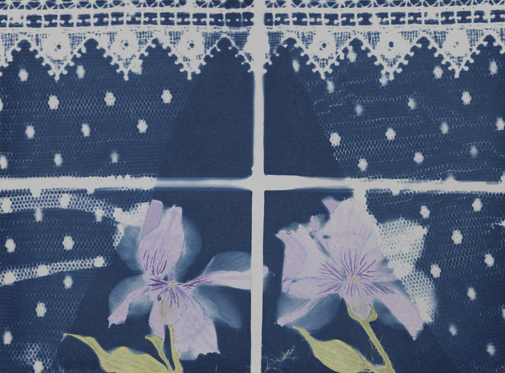 2026_2_Cyanotype Photograms_Sacramento CA-22