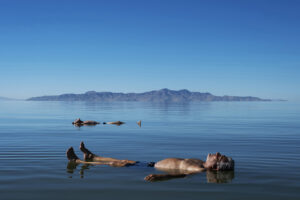 Garrett MacLean - Floating on the Great Salt Lake