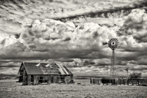 Victoria Stojanovich - After the Storm