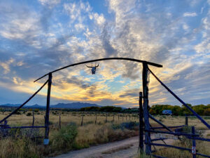 John Stumbos - Galisteo Gate
