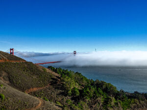 Ezinne Agueze - The Pathway