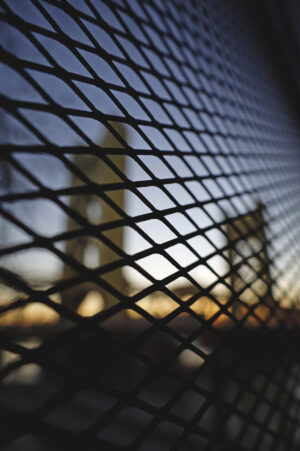 Alena Ardasheva - Between Here & There