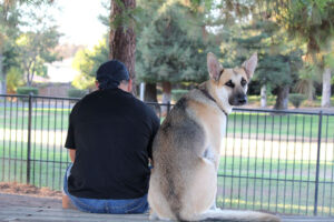 Yolanda Ashford - Man's Best Friend