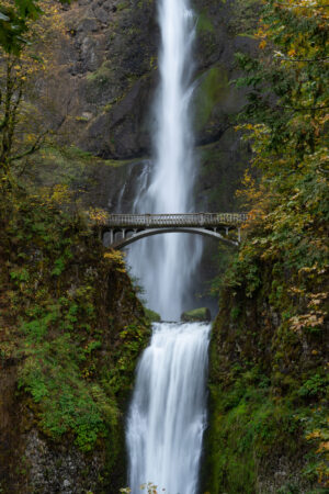 Theresa Mark - Glimpse of Multnomah Falls