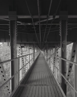 Jeremy Rommelfanger - Forest Hill's Catwalk