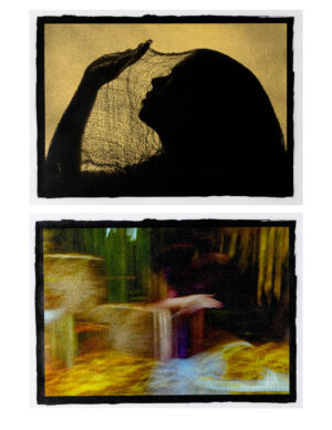 Reese Y Tanabe - Diptych: Isolation / Connection