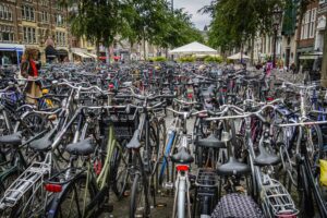 Franc Woods - No Parking