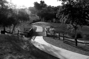 Michele Wyman - Follow Me