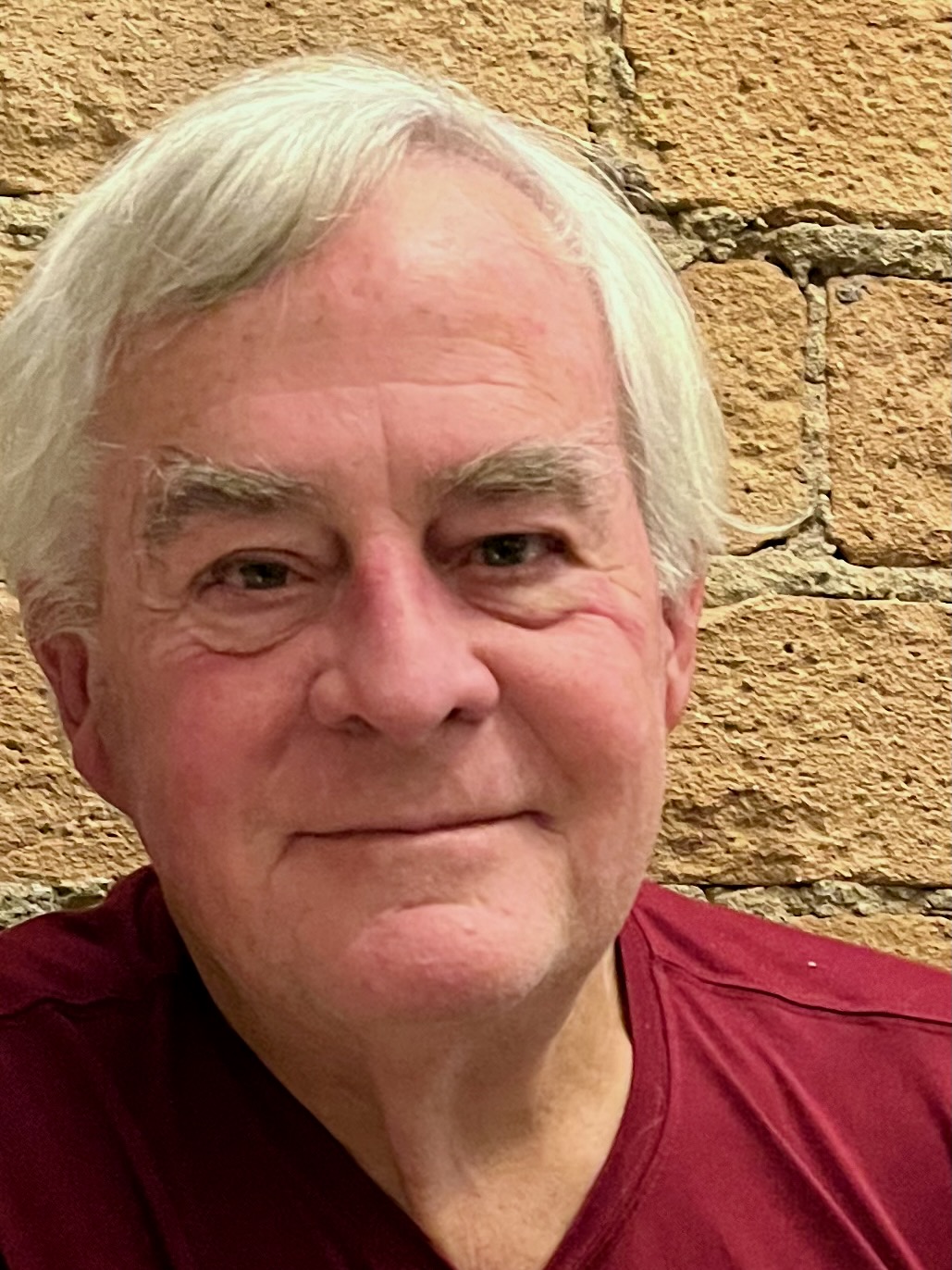 David L. Robertson bio