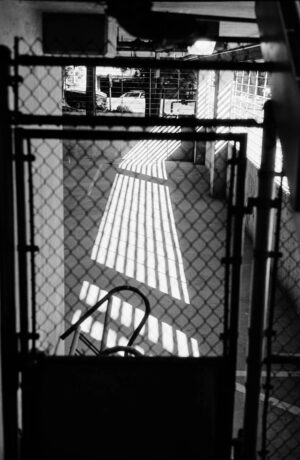 Dajoune Rogers-James - Barrier of Light