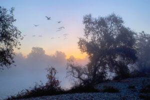 American River Sunrise 9