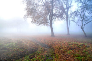 Clearing