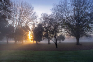 Morning Light 2