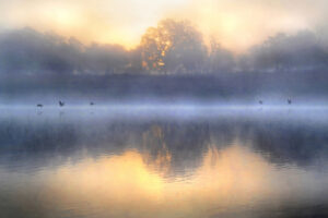 River Fog 3