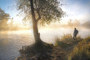 Shoreline 2