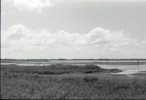 Jillian Knox - Southern Landscape