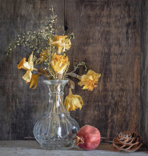 THE AFTER LIFE OF FLOWERS