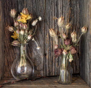 THE CONTINUING LIFE OF FLOWERS