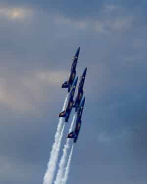 Ascending Elegance