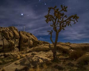 Mojave Cross
