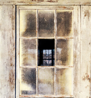 Portal Within
