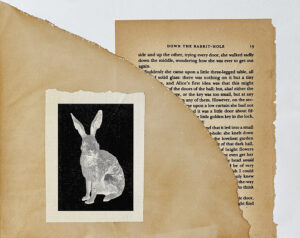 Go Ask Alice