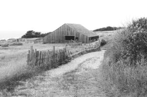 Black Pointe Barn at Sea Ranch
