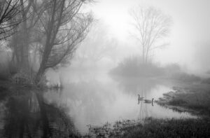 The Pond In Winter