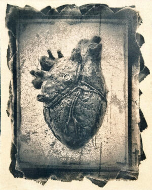 Whole Hearted