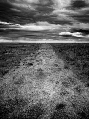 The Next Step Alone