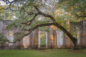 Vestiges of Grace