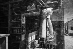 Mannequin and Reflection