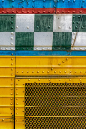 Beauty Among the Buses 1