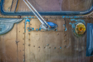 Beauty Among the Buses 2